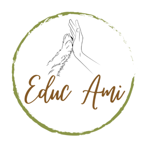 EDUC AMI